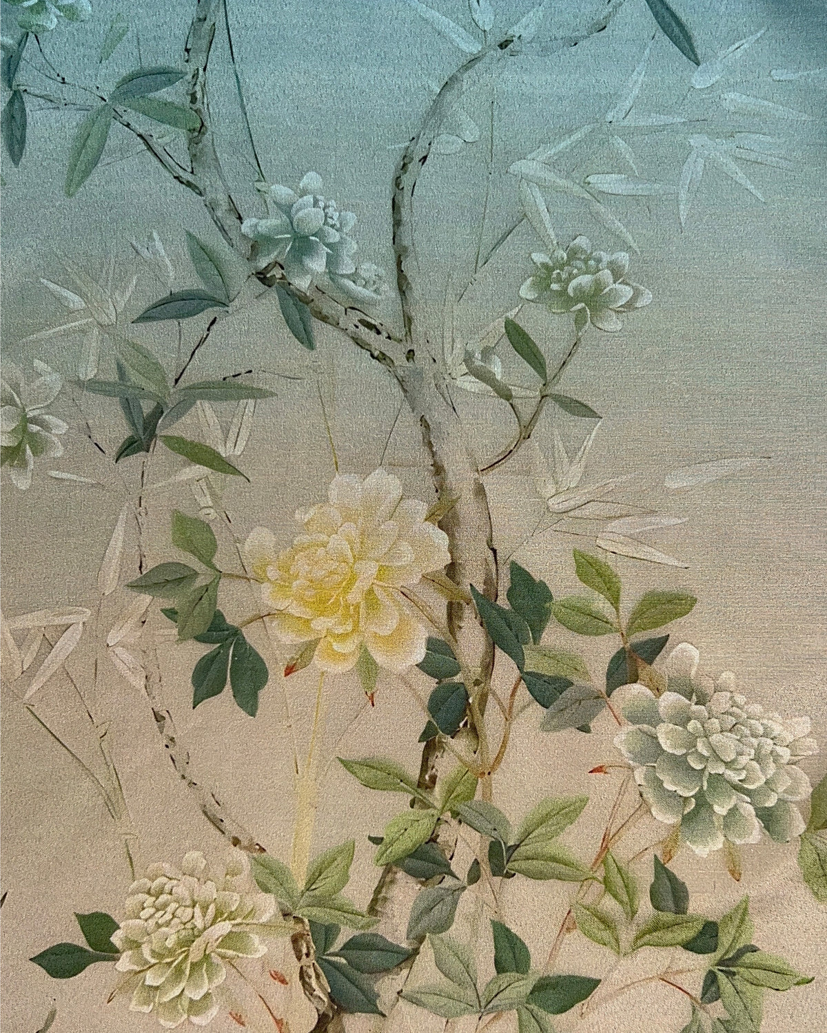 Floréa | Ombre
